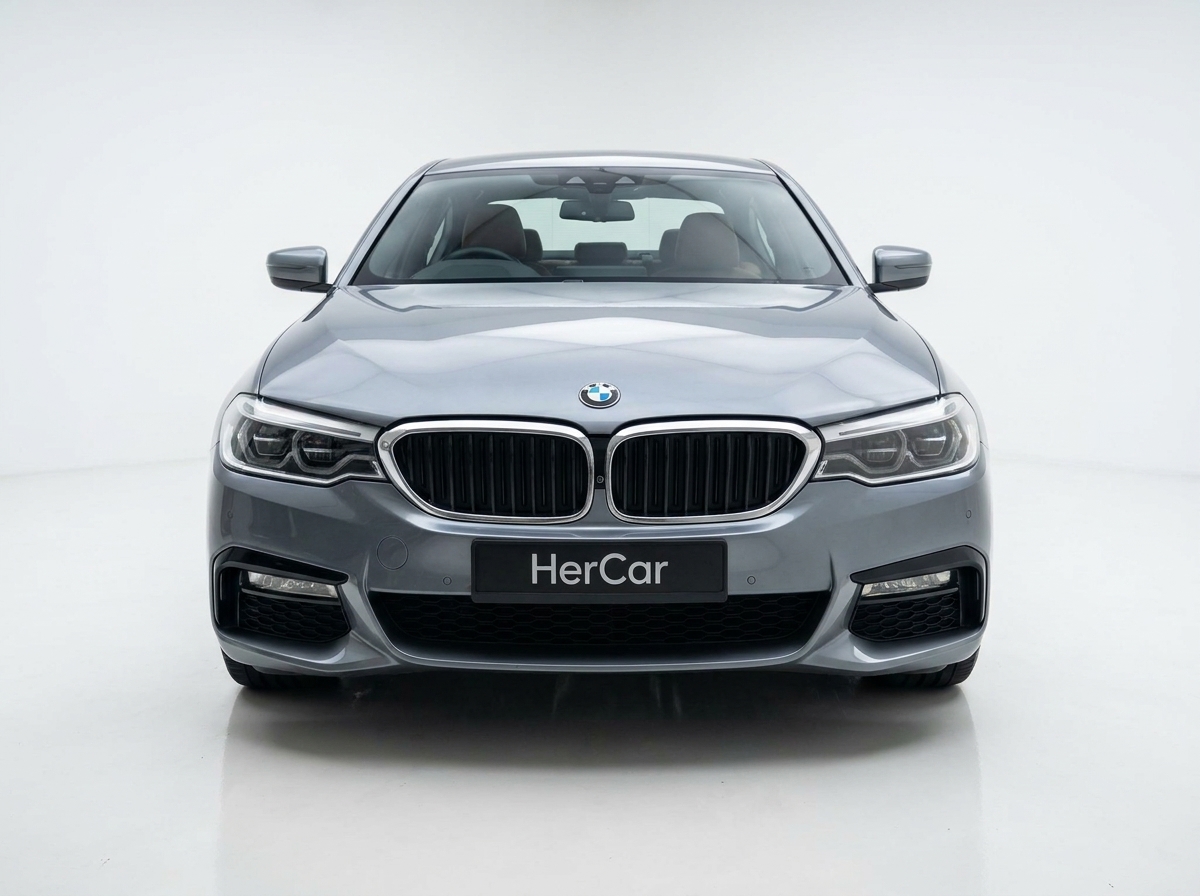 2018 BMW 5 Series 520i Luxury